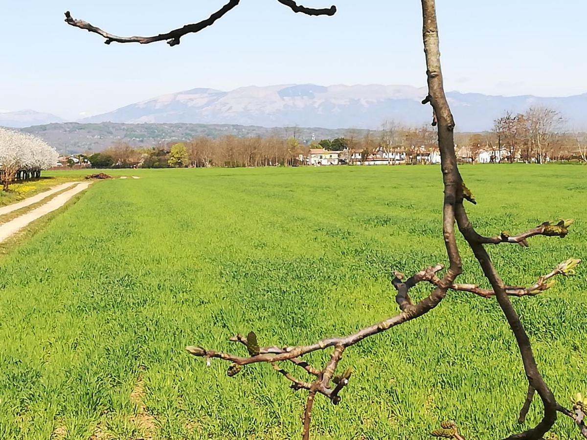 ホテル Borgo Barucchella Sant'Andra エクステリア 写真