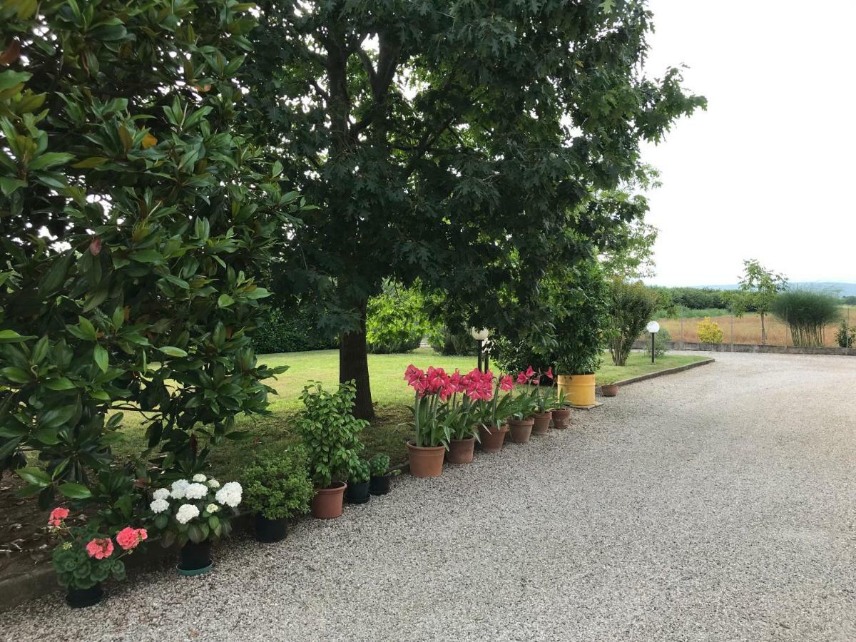 ホテル Borgo Barucchella Sant'Andra エクステリア 写真